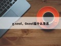 g.soul，Gsoul是什么意思