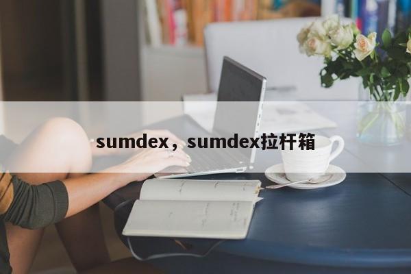 sumdex，sumdex拉杆箱-第1张图片-承越创业知识网