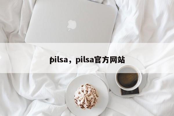 pilsa，pilsa官方网站
！-第1张图片-承越创业知识网