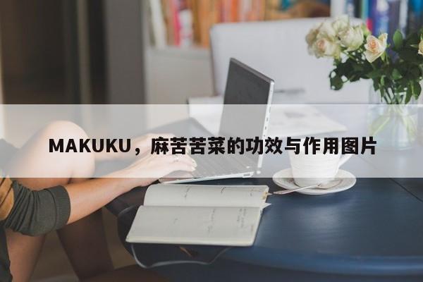 MAKUKU，麻苦苦菜的功效与作用图片-第1张图片-承越创业知识网