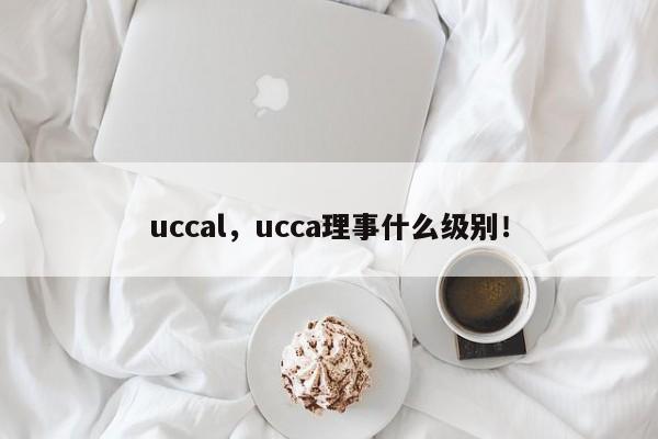 uccal，ucca理事什么级别！-第1张图片-承越创业知识网