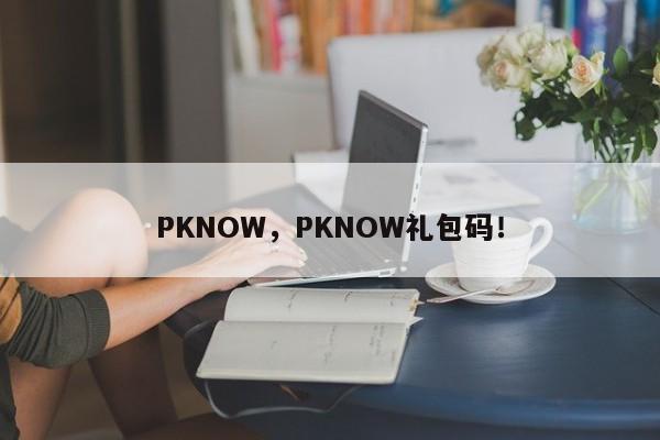 PKNOW，PKNOW礼包码！-第1张图片-承越创业知识网