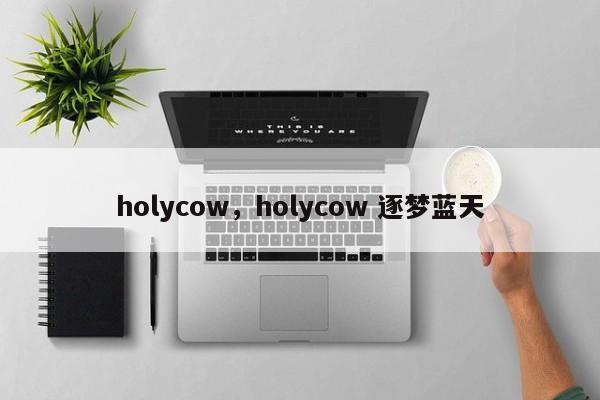 holycow，holycow 逐梦蓝天-第1张图片-承越创业知识网
