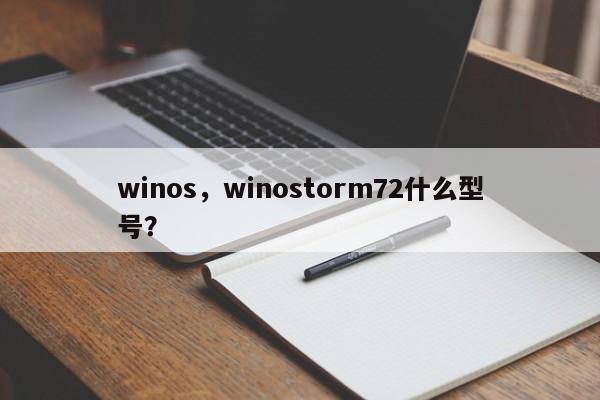 winos，winostorm72什么型号？-第1张图片-承越创业知识网