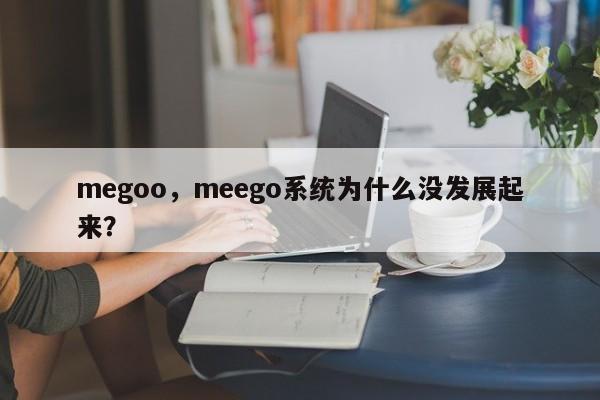 megoo，meego系统为什么没发展起来？-第1张图片-承越创业知识网